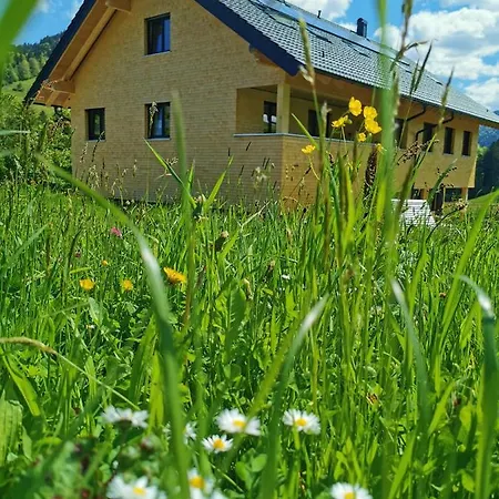 Apartman Living Apartment_2 Hittisau
